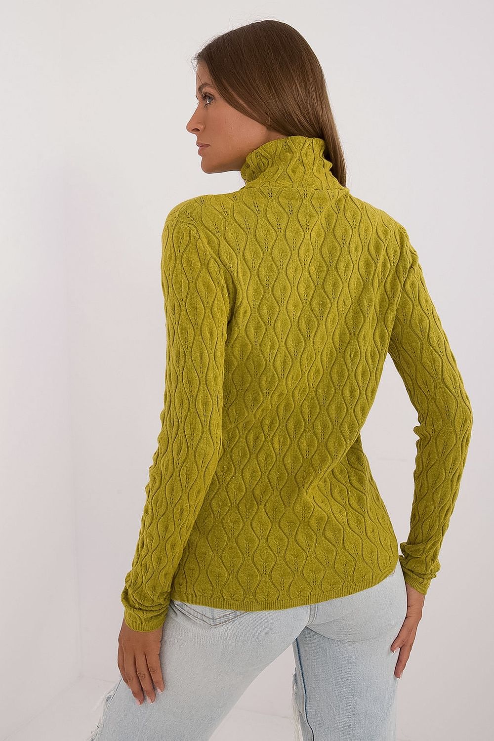 Turtleneck model 208279 AT