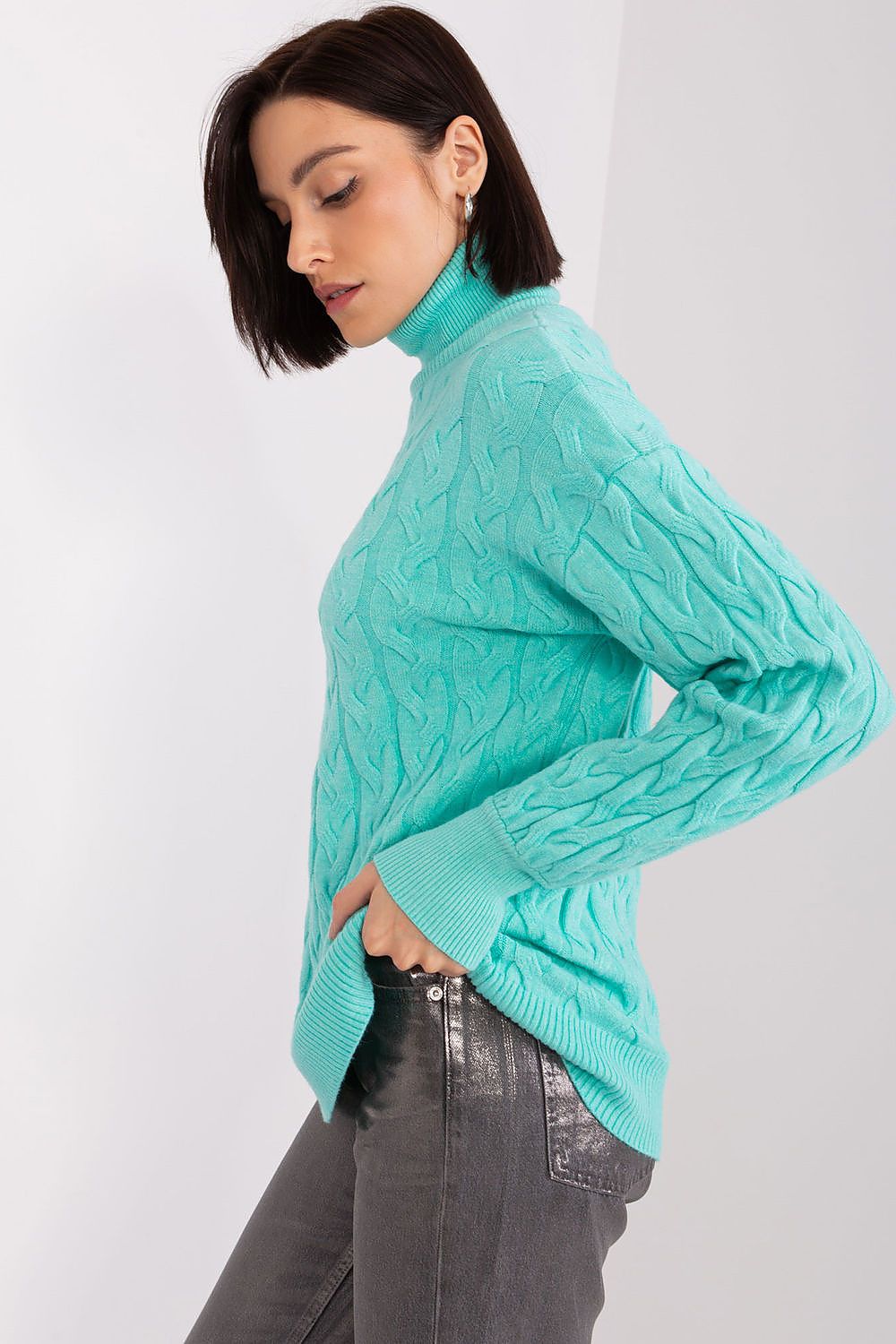  Turtleneck model 188296 AT 