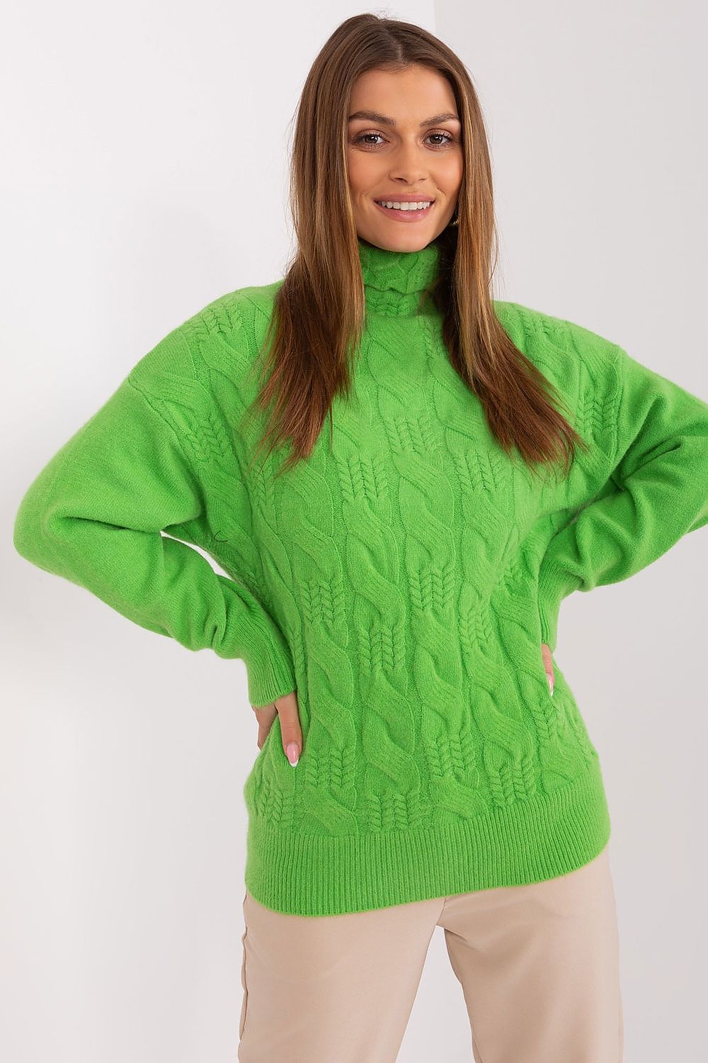  Turtleneck model 189893 AT 