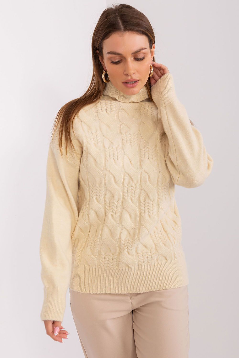  Turtleneck model 189898 AT 